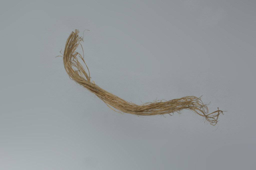cchdvmd0050.jpg